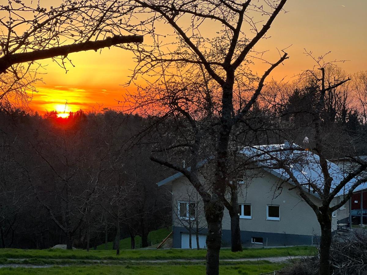 S'laehmes Auf Der Schwend Holiday home Kappelrodeck